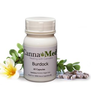 Burdock - 60 Capsules