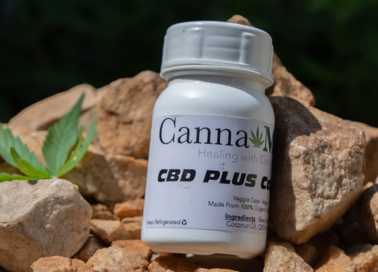 CannaMed - CBD Plus Capsules Sativa - Image 4